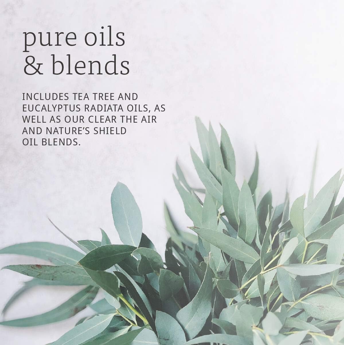 NOW Essential Oils, Seasonal Changes Balancing Aromatherapy Kit, 4x10ml Including Tea Tree, Eucalyptus Radiata, Clear the Air and Nature’s Shield Oil Blend With Child Resistant Caps