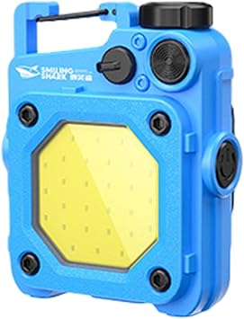 2023 New Model LED Floodlight, COB Light, Flood Light, COB Work Light, Key Chain Type, Ultra Bright, 4 Lighting Modes, IPX4 Waterproof, 180  Rotation, Bright 800 LM High Brightness, LED Light, Ultra