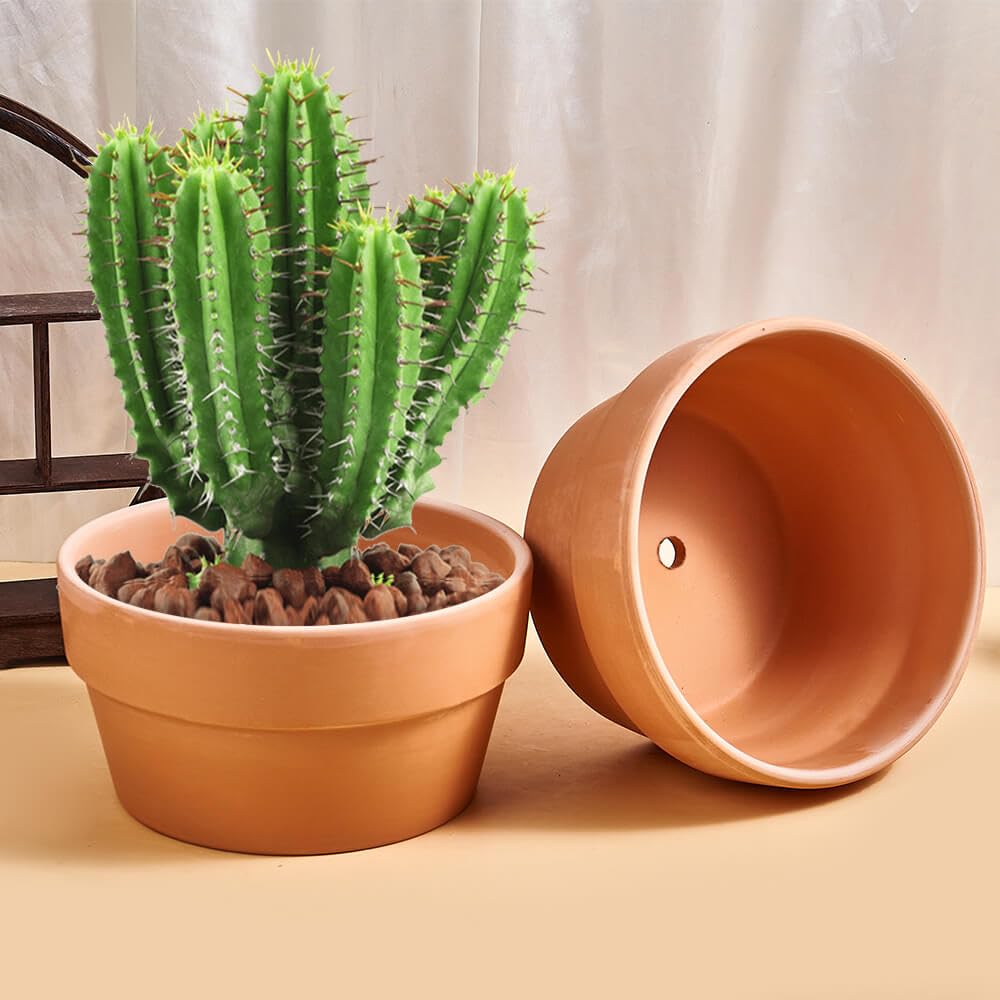 Amazon.com: 8 Inch Shallow Terracotta Pot for Succulent - 2 Pcs Large Clay Planter  Pots with Drainage Hole, Shallow Plant Pottery Pots for Cactus Succulent  and Other Indoor Outdoor Plants : Patio,