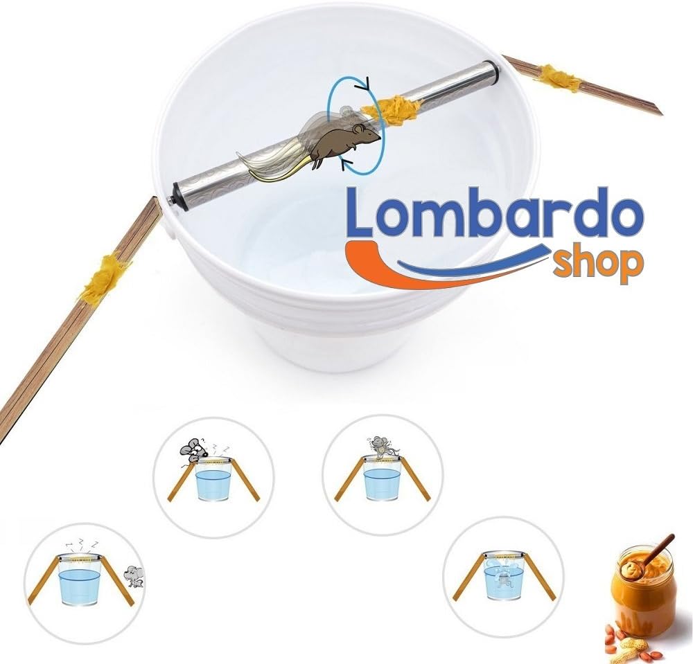 Roller Mouse Trap captures Rats using Bucket Naturally without Poison