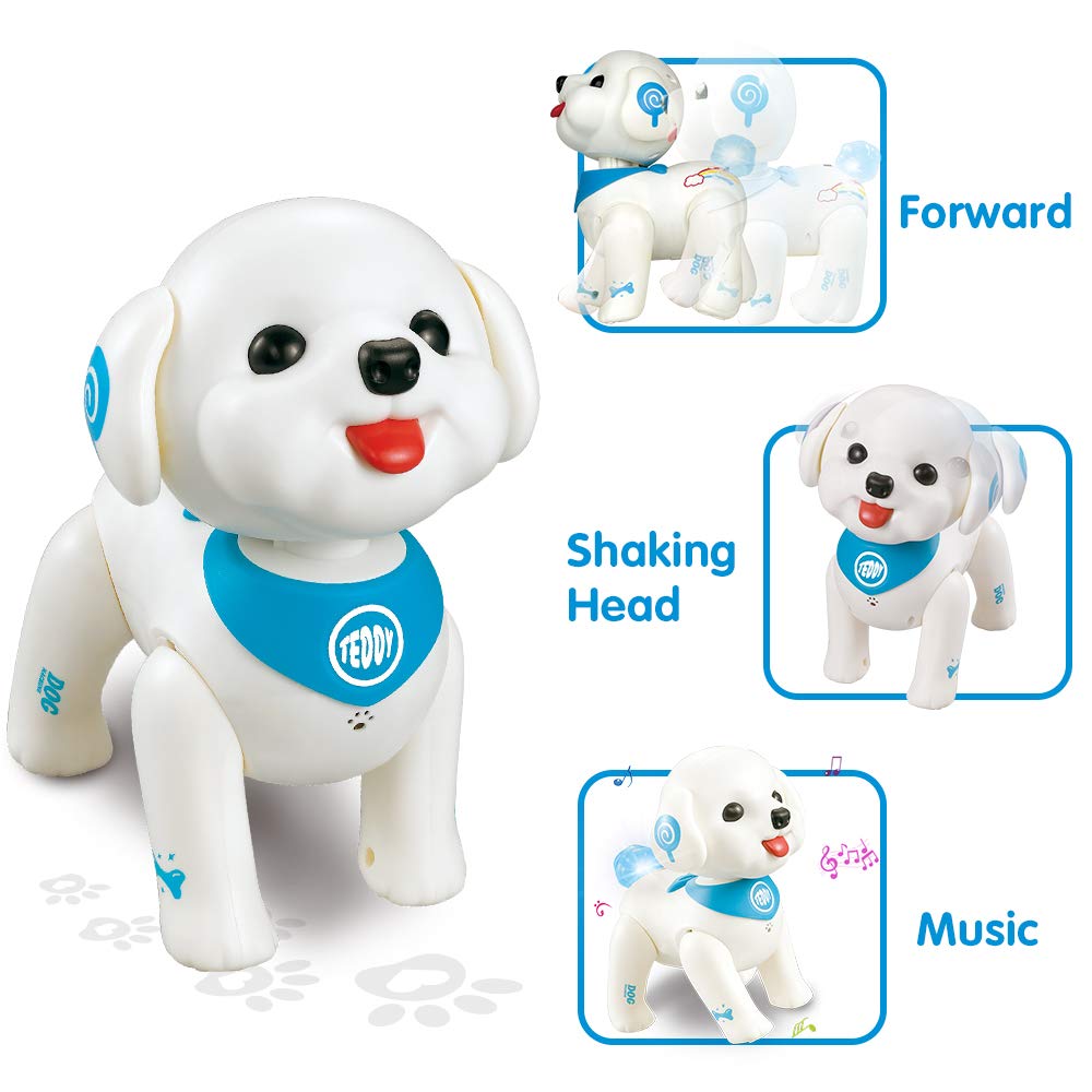 teddy robot dog