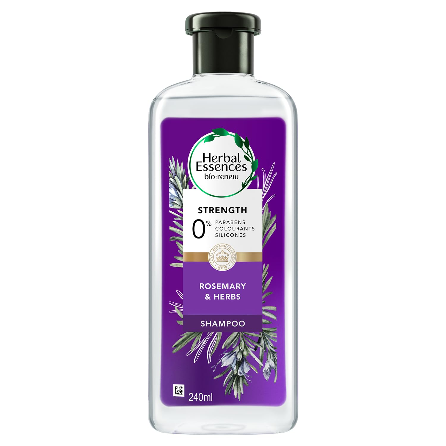 Herbal Essences bio:renew Rosemary and Herbs SHAMPOO, 240ml, No Parabens No Colorants-image-38