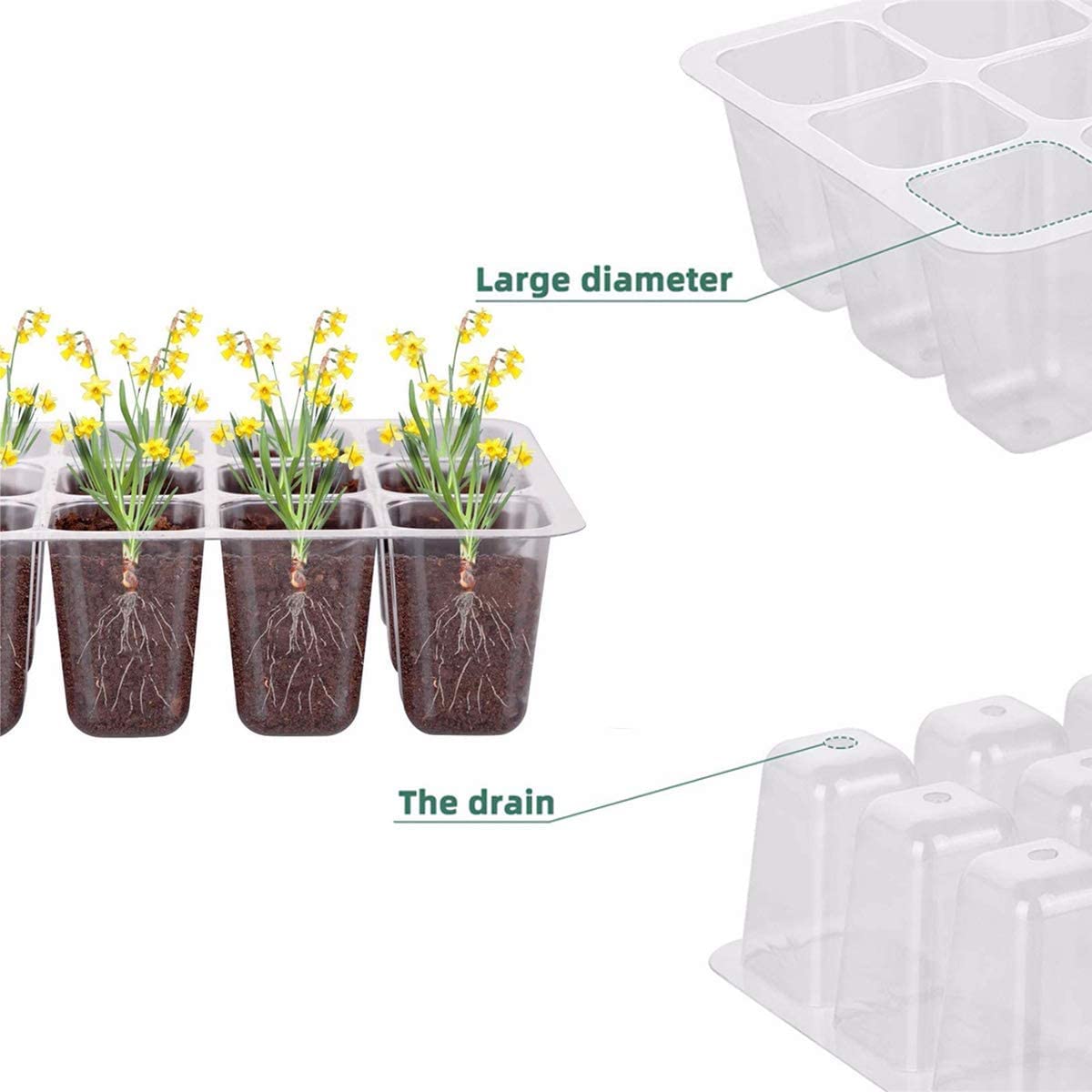 Vassoio Germinazione, 12 Pezzi Scatola di Germinazione, 12Fori Set di Propagazione dei Semi, Vassoi per Piante con Cupole Ventilate, per Germinazione, Strumento di Coltivazione in Mini Serra