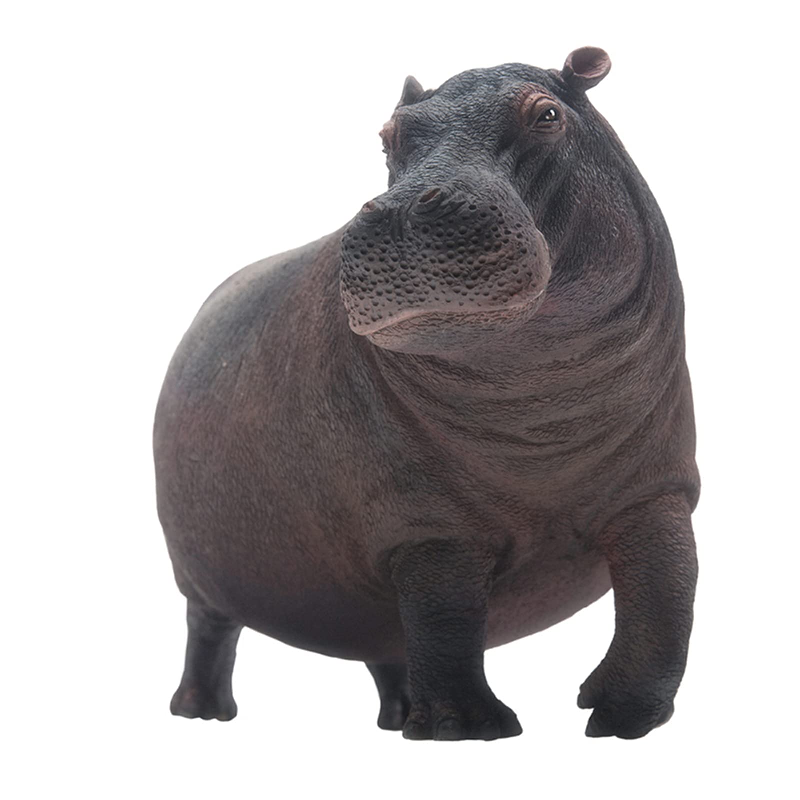 Amazon | PNSO 動物園シリーズ 02 カバ 河馬 アフリカ 26cm級 野生動物