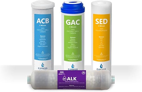 Express Water Juego de filtros de repuesto para sistema de ósmosis inversa alcalina de 6 meses, 4 filtros, filtros de agua de tamaño de 10 pulgadas