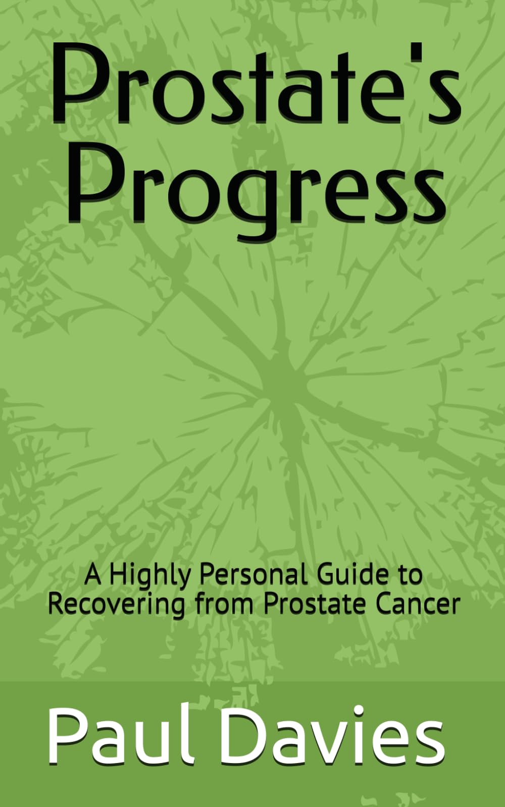 Prostate's Progress: A Highly Personal Guide to Recovering from Prostate Cancer