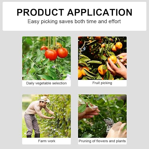 Miniatura 3 de 2 cuchillos para el pulgar y tijeras de podar, herramienta multiusos de acero inoxidable para recortar hojas, recolección de frutas, recortar