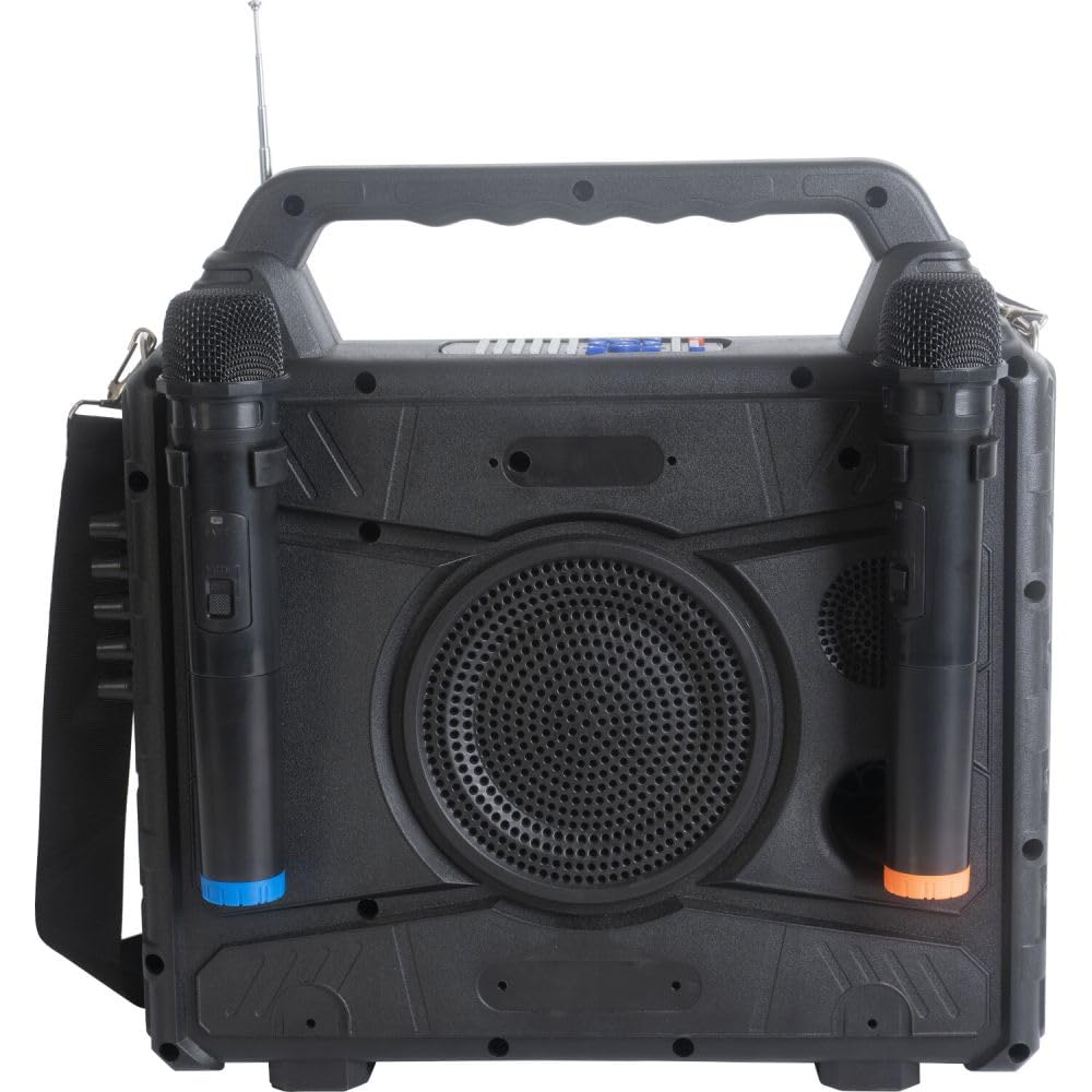 Ibiza KARAVISION Przenośny głośnik Karaoke z ekranem i 2x VHF Mics