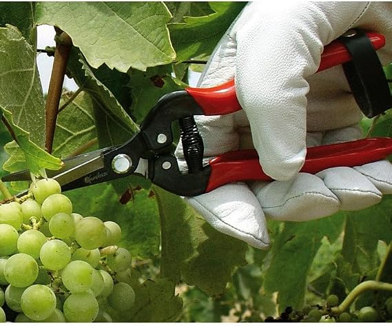 Gemplers Needlenose Fruit Pruner