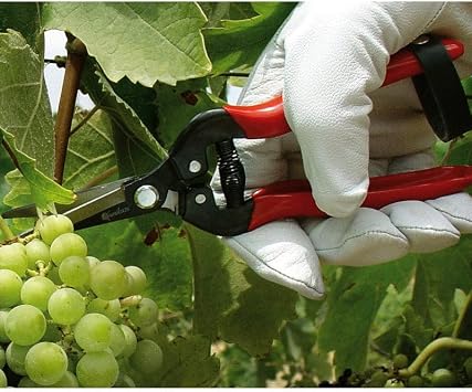 Gemplers Needlenose Fruit Pruner