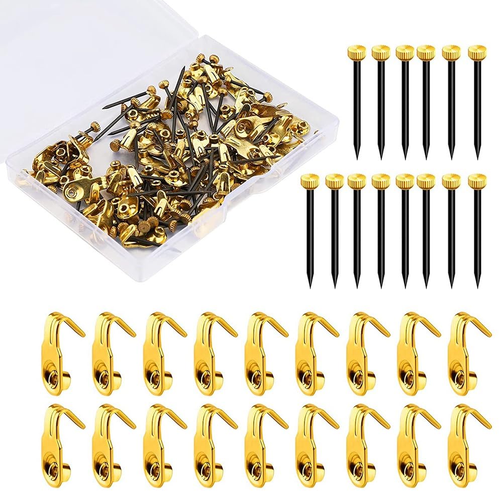 Wrtysully 100Pcs Picture Hanging Kit 10Lbs Stainless Steel Picture Hanging Hooks With Brass-Head Hanging Pins For Hanging Picture