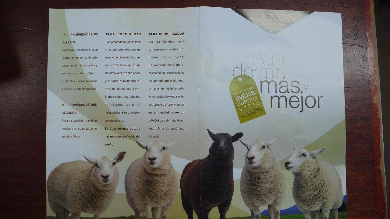 CUBRECOLCHON DE Lana Y Algodon Sistema DE Descanso Tradicional Bienestar del SUEÑO (Lana 500 GR, Cama 150 X 190 CM)
