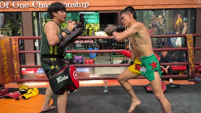 Amazon | Fairtex TP5 ウルトラライト太ももパッド - ムエタイ&キック