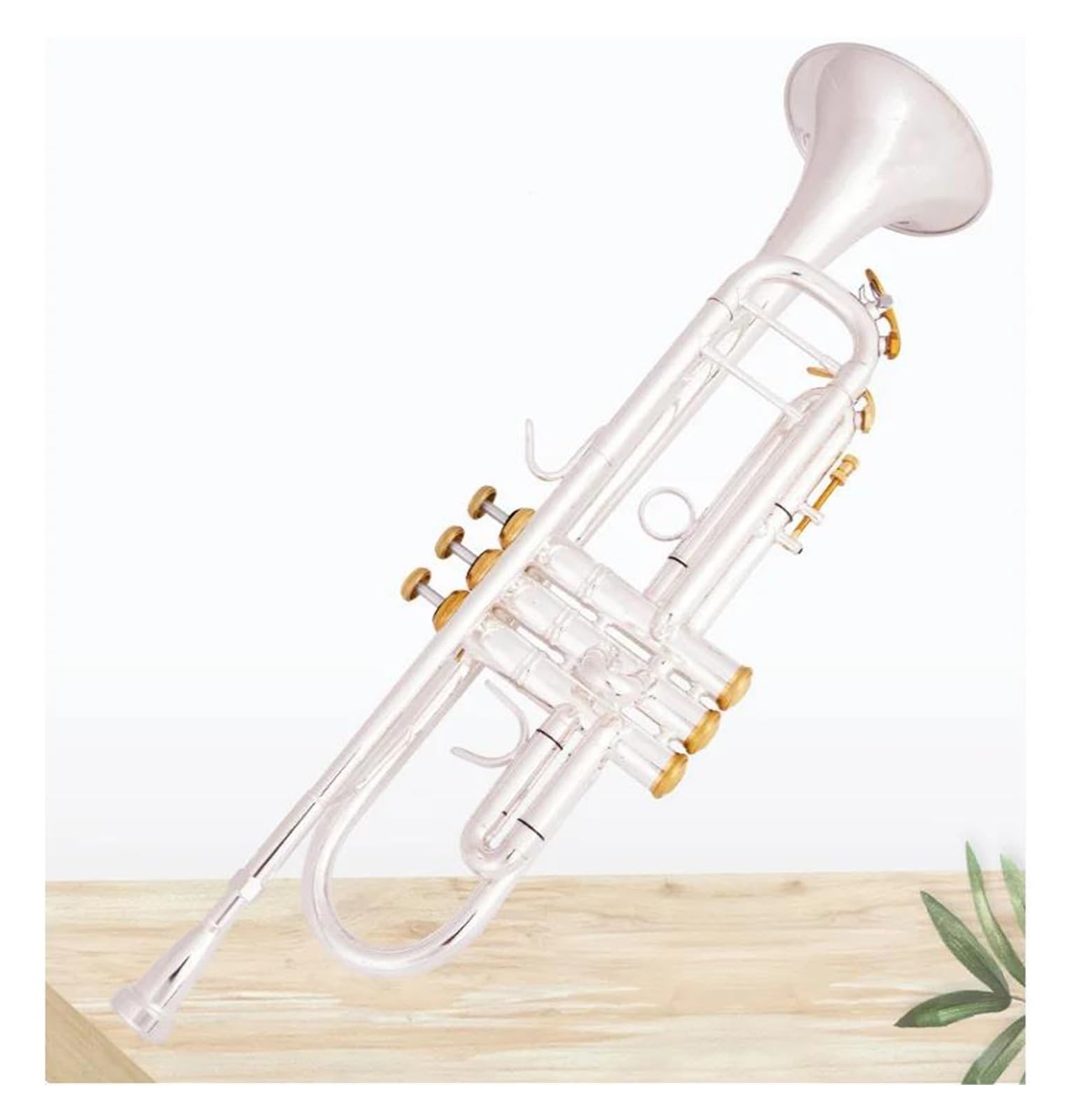 trąbka instrument Wysokiej jakości trąbka Bb mosiężne instrumenty muzyczne posrebrzana trąbka Bb z etui na rękawiczki z ustnikiem (Color : 01)