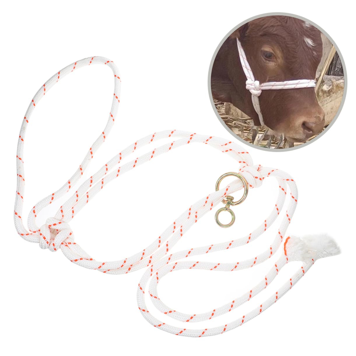 Corde De Licol Pour Bétail - Renforcée, Résistante à L'eau - Pour Vaches, Veaux, Moutons - Utilisation Ferme/ranch
