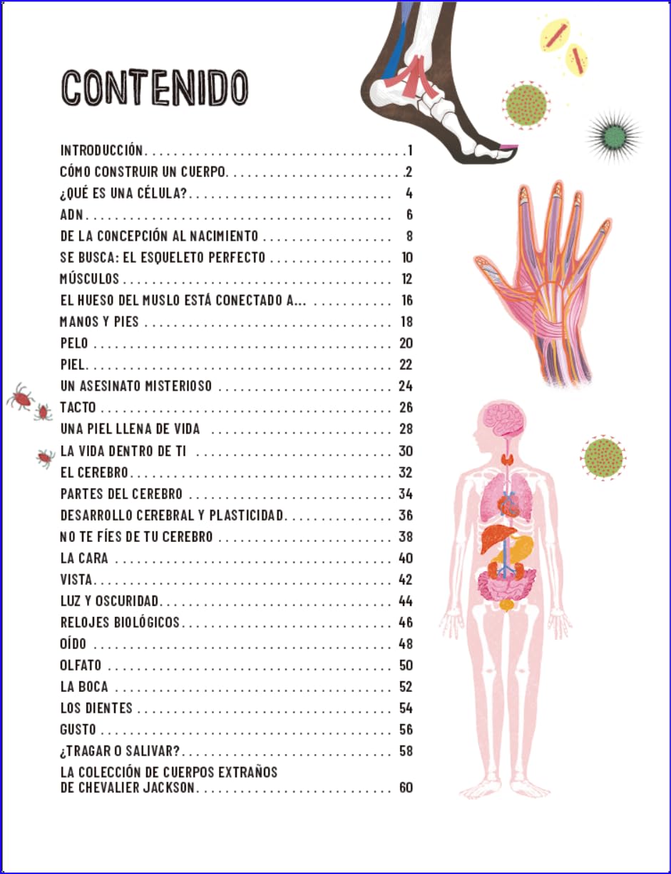 Un muy breve viaje a través del cuerpo: Edición ilustrada de un recorrido apasionante de la cabeza a los pies (Infantil)