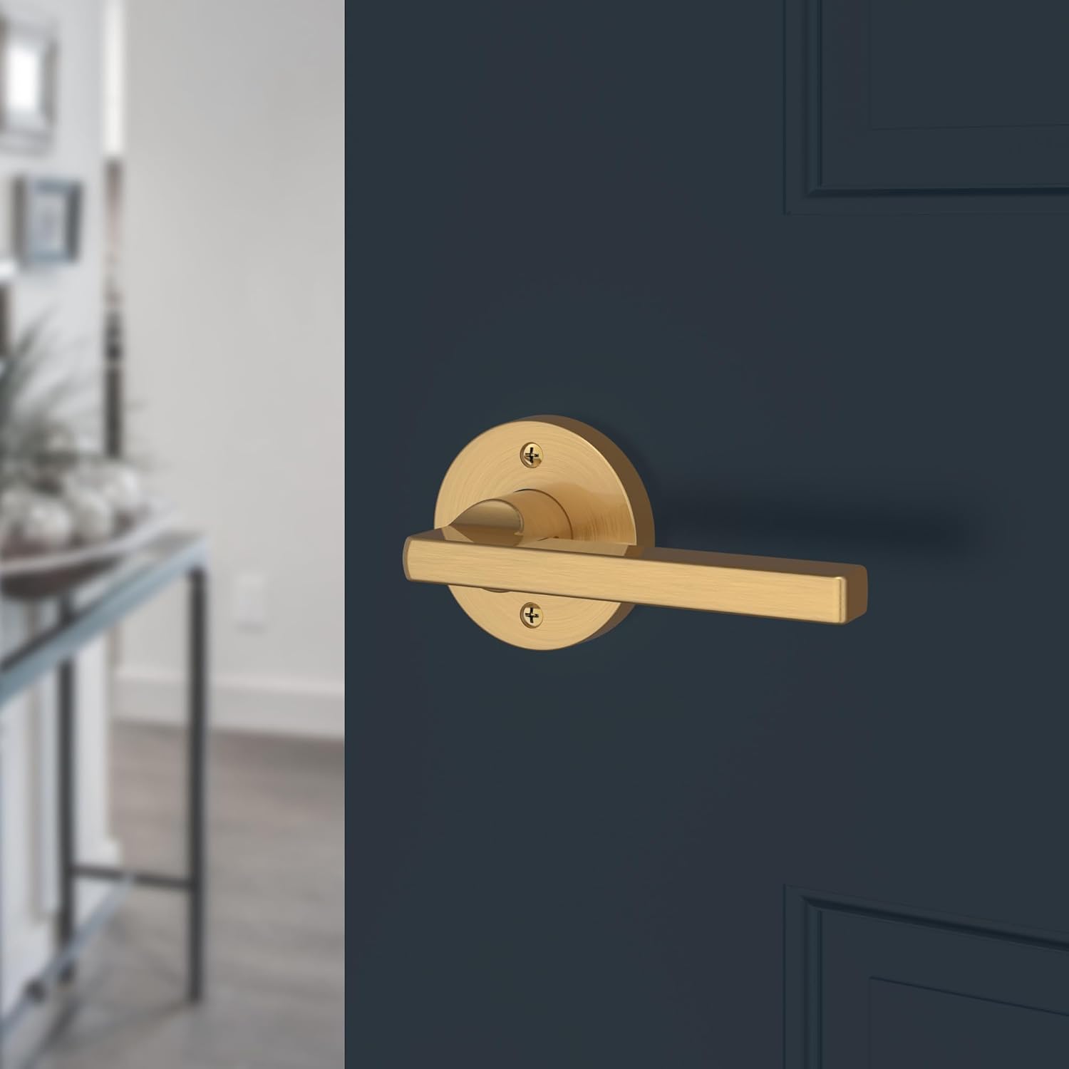 Baldwin PVSQUCRR190 - Privacy Leverset