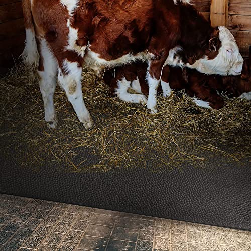 Floordirekt Stallmatte aus Gummi - wasserbeständig & einfach zu reinigen - rutschfeste Gummimatte Schutzmatte Bodenmatte - Cow Bed Matress GW4005 - Geeignet für jegliche Tierhaltung (200 x 100 cm)