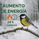 Ver la foto 4