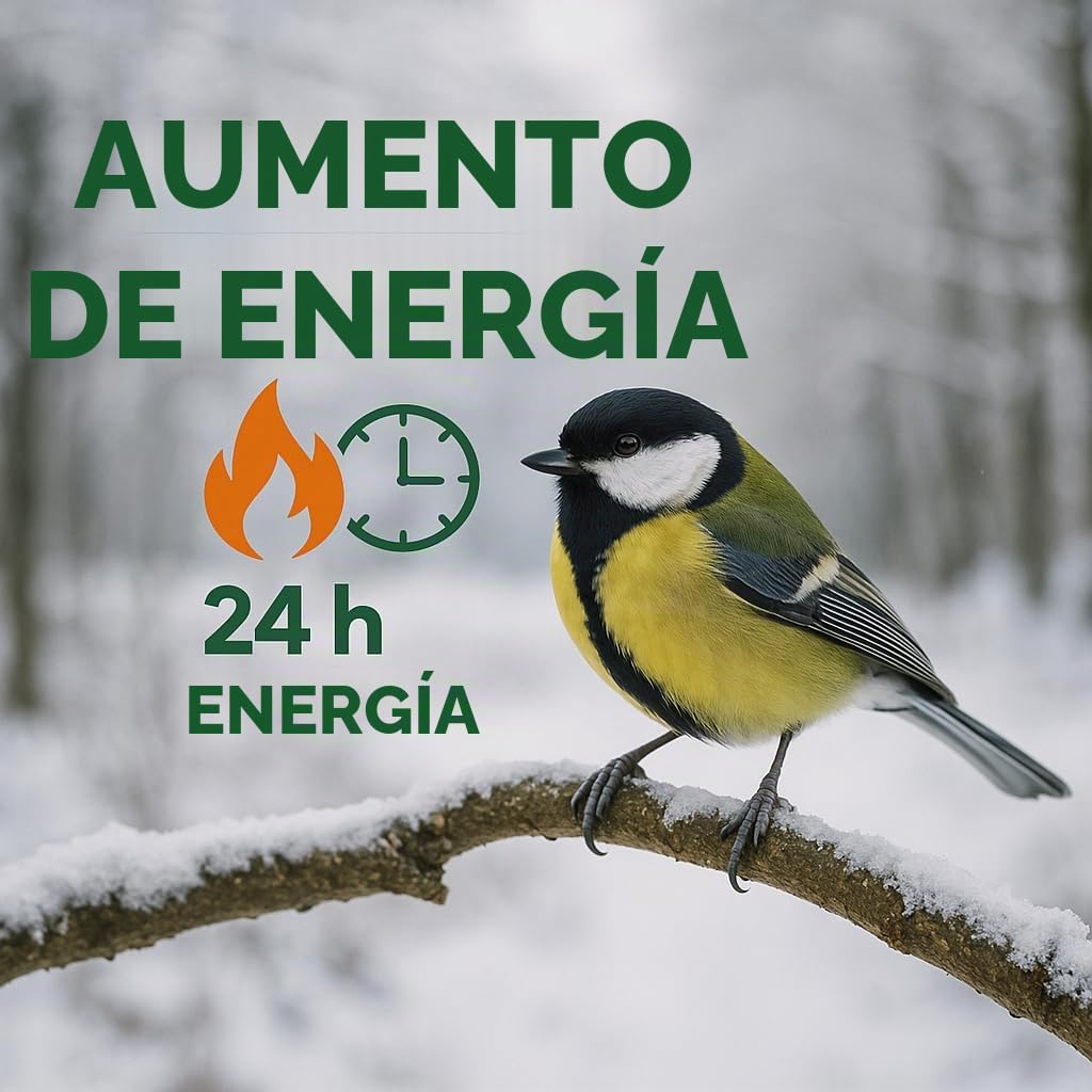 GiDeli Pienso para pájaros de 30 kg, alimento para pájaros silvestres todo el año, alimento para garrapatas tanto para invierno como para verano, contiene semillas de girasol negras