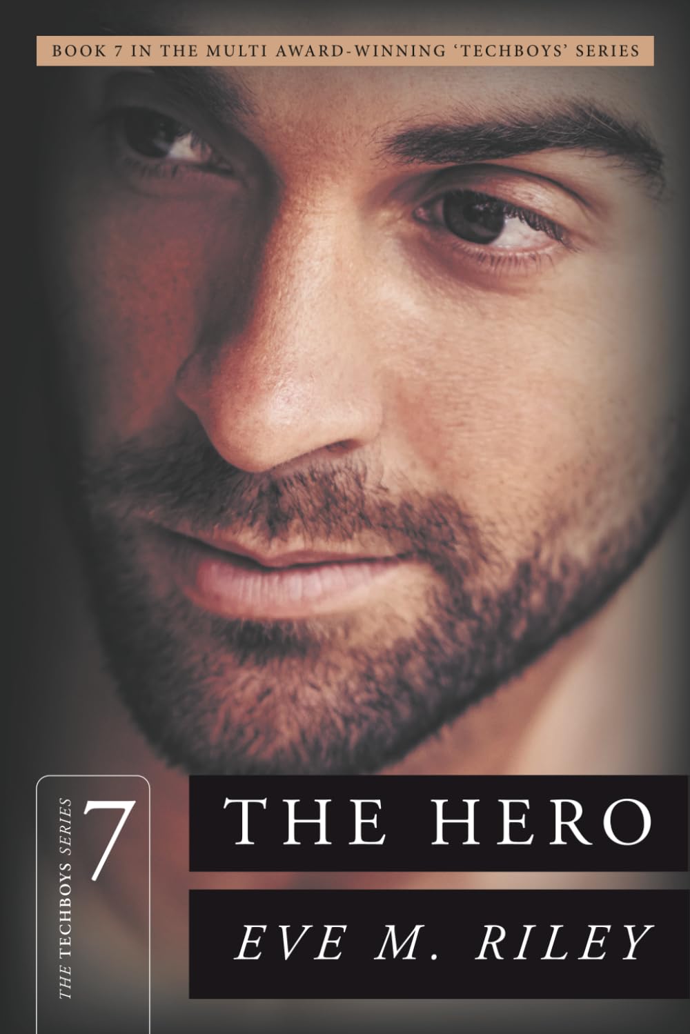The Hero: The worst night of his life was the beginning of hers (The Techboys Series)