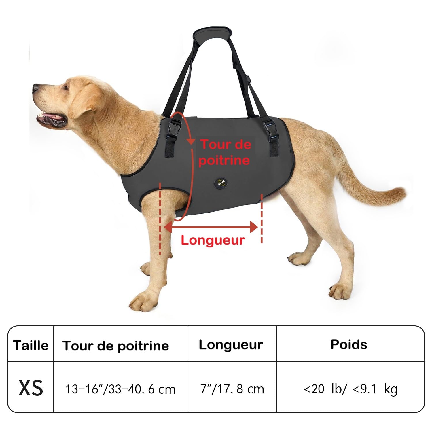 Coodeo Harnais de Levage pour Chien, Sangles Ajustables et Rembourrées, Support Respirant pour Chiens Âgés, Handicapés, Blessures Articulaires, Arthrite, Perte de Stabilité (Gris, XS)