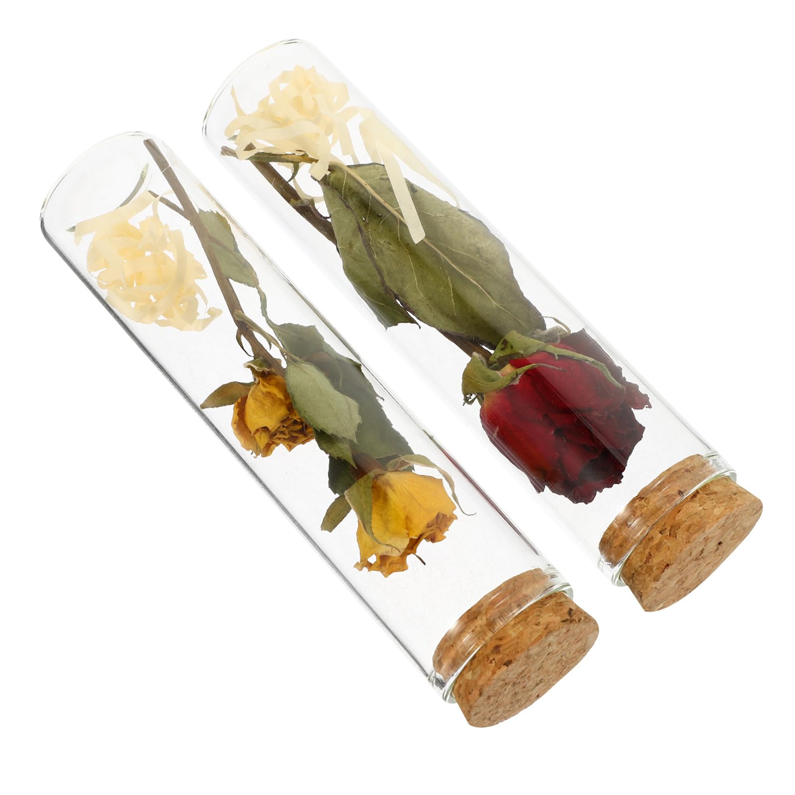 Bottiglie dei Desideri in Vetro Trasparente Tappo di Sughero e Fiori Secchi Rossi e Gialli, Set da 2 per Decorazioni Natalizie e Ufficio