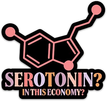 3PCs Serotonin in This Economy Sticker, Funny Mental Health Humor Sarcasm Sarcastic Joke Vinyl Waterproof Stickers Laptop Water Bottle Tumbler Notebook Hydro Flask Decals 3 Inches