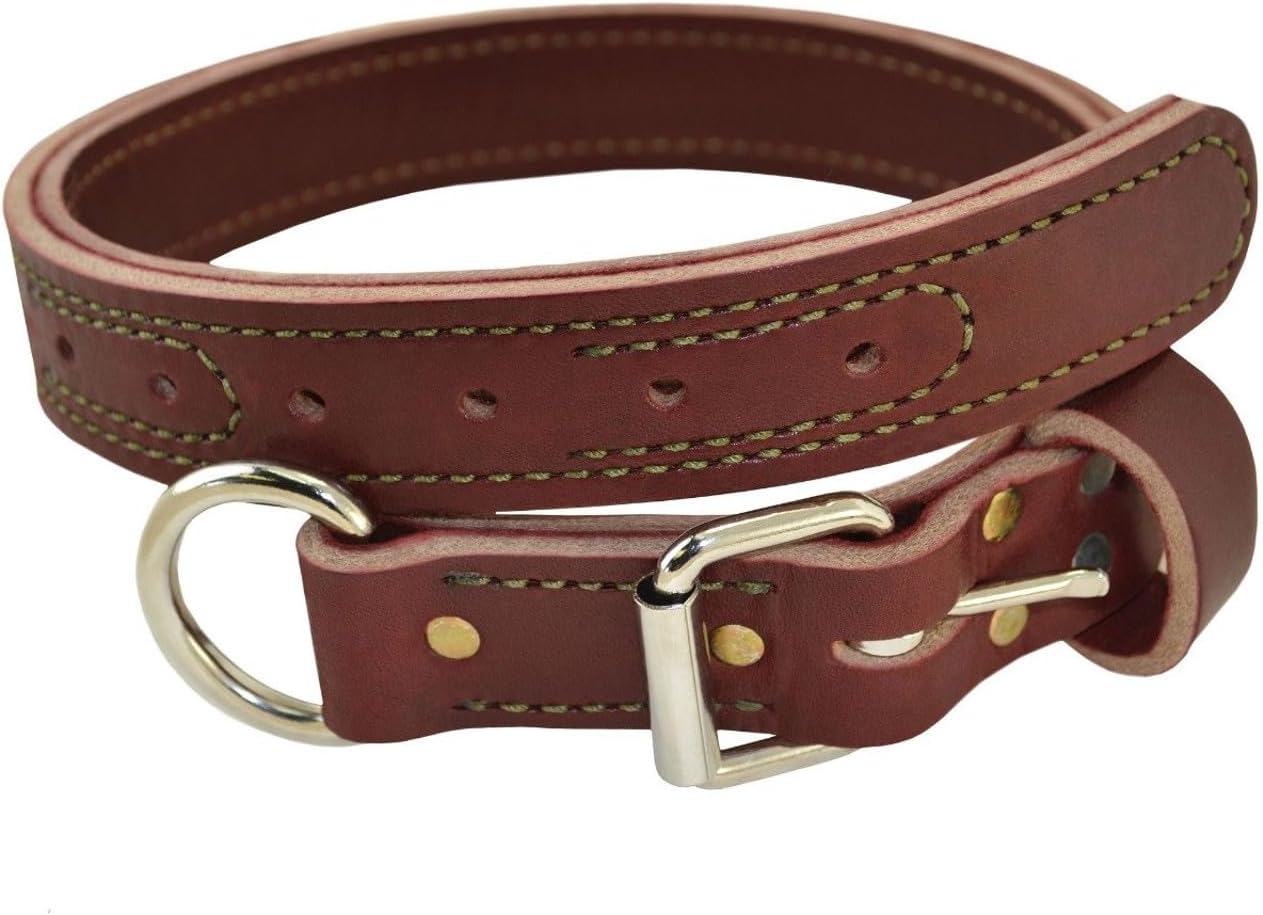 Ray Allen Military Spec K9 Collar, Burgundy