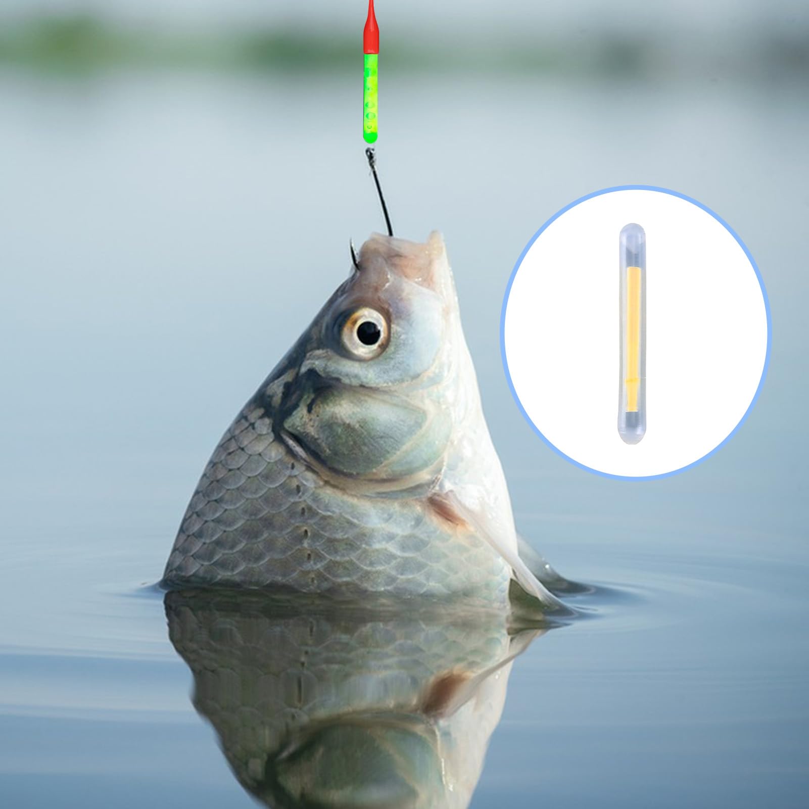 Bâton De Pêche Lumineux 50 Bâtons Lumineux SHOWHEEL Pour Pêche De Nuit - Fluorescents Vert (4.5x37mm), 4-8h D'Autonomie Bourriche Peche Bâton De Pêche Lumineux 50 Bâtons Lumineux SHOWHEEL Pour Pêche De Nuit - Fluorescents Vert (4.5x37mm), 4-8h D'Autonomie Bourriche Peche