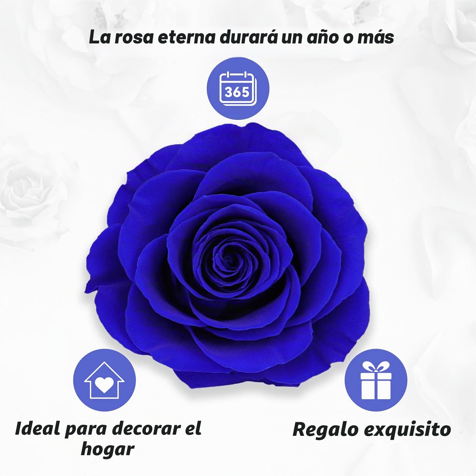 ADAZ Rosa Eterna con Collar, Flores Preservadas Hecha a Mano, Regalos Originales para Mujer, Día de la Madre, Regalo Navidad, Regalo San Valentin Mujer Novia Mamá