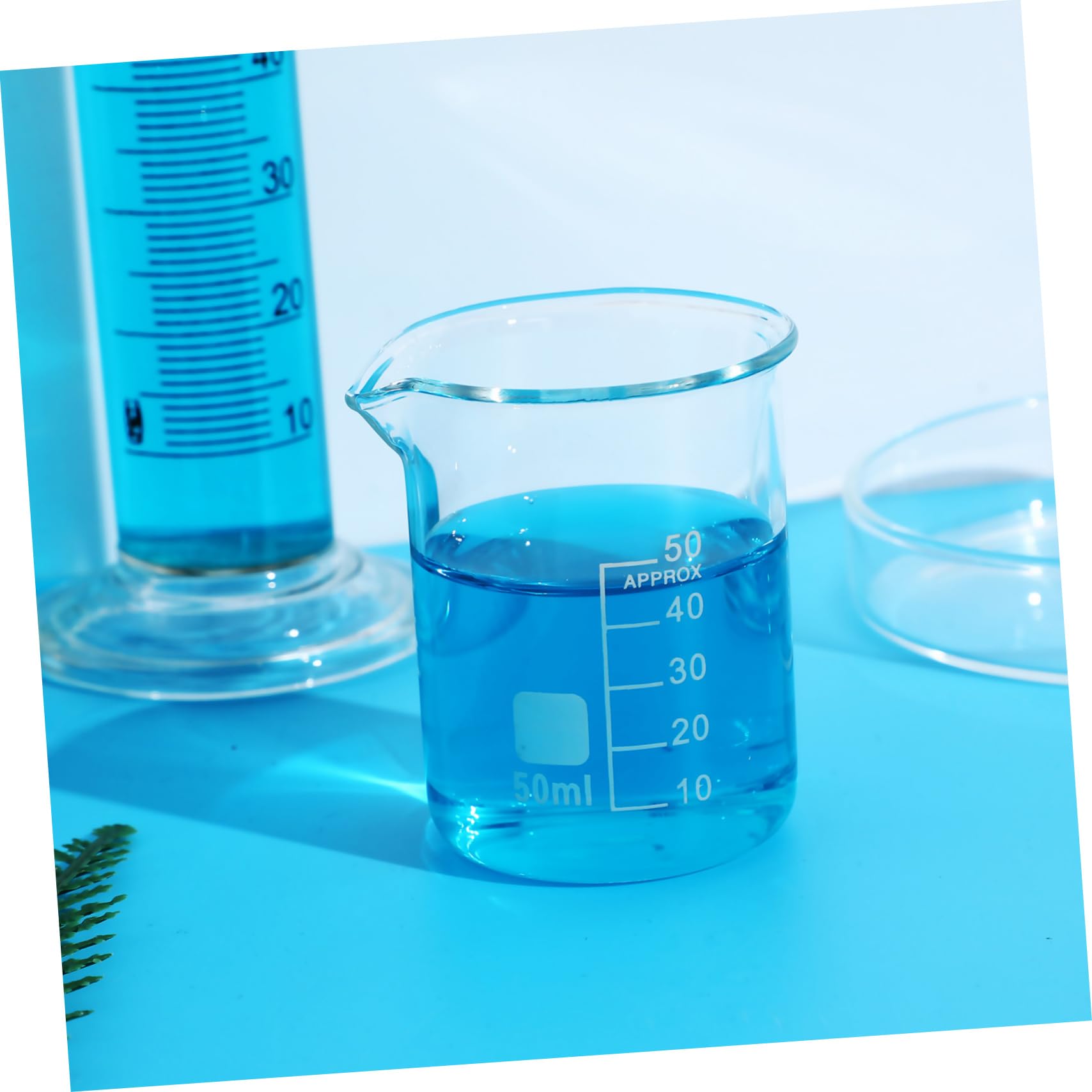 SOLUSTRE 20pezzi Vetreria Da Laboratorio Beccuccio Cilindri Graduati Trasparenti Misurini Per Becher Di Precisione Becher in Vetro Resistenti Al Calore