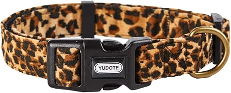zebra print dog collar