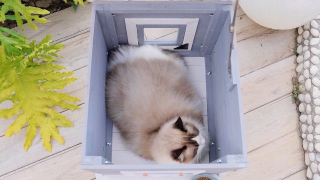 Amazon | Petsfit 外猫ハウス 野良猫 四季対応 防湿 木製の屋外用猫