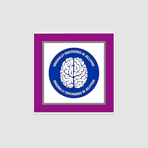 Miniatura 9 de Prevagen - Mejora la memoria: fuerza extra, 0.00070 onzas, 30 masticables, mezcla de bayas con Aequorina y vitamina D. Suplemento para una mejor