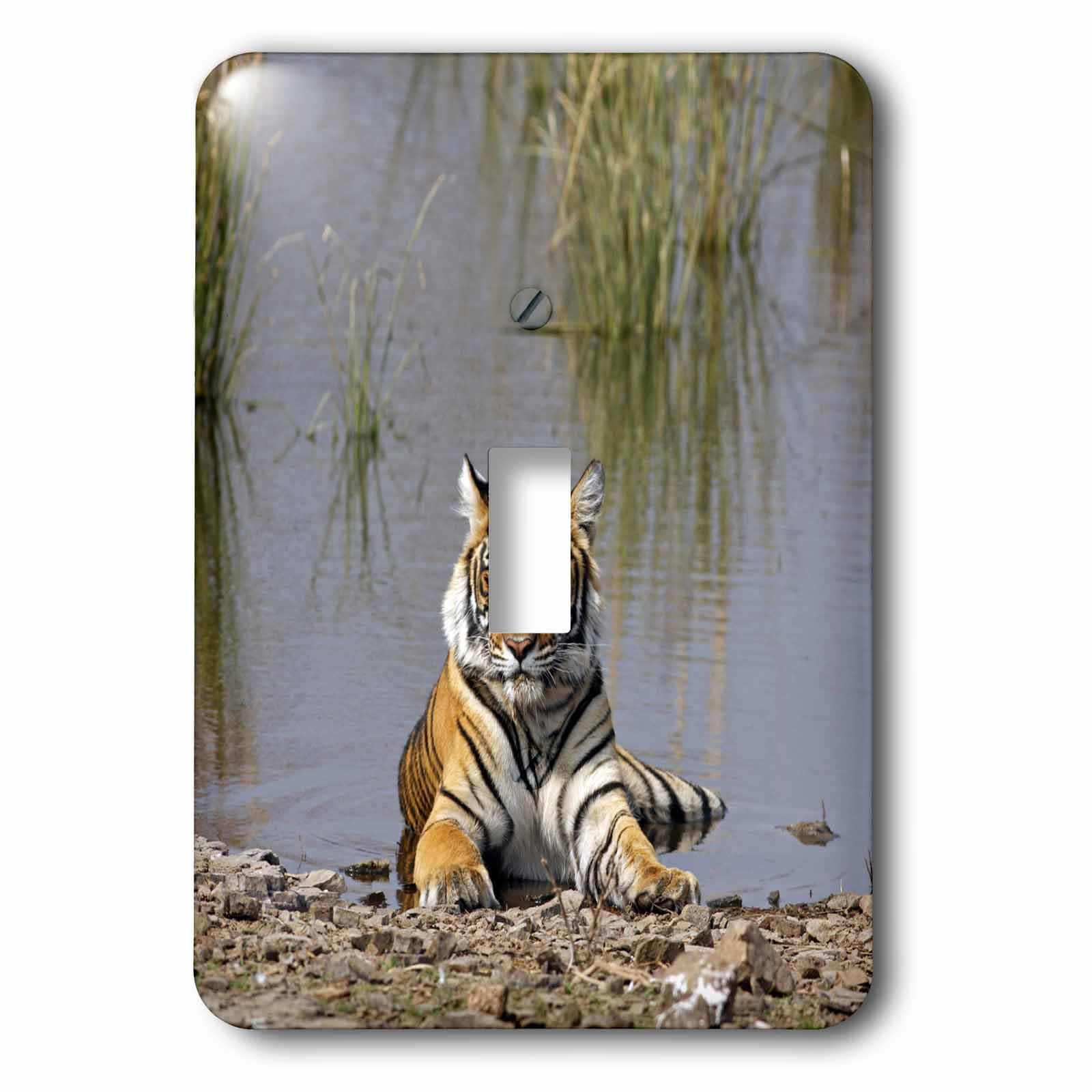 Interrupteur tigre du Bengale 3dRose pour vibrer au rythme de la nature indienne