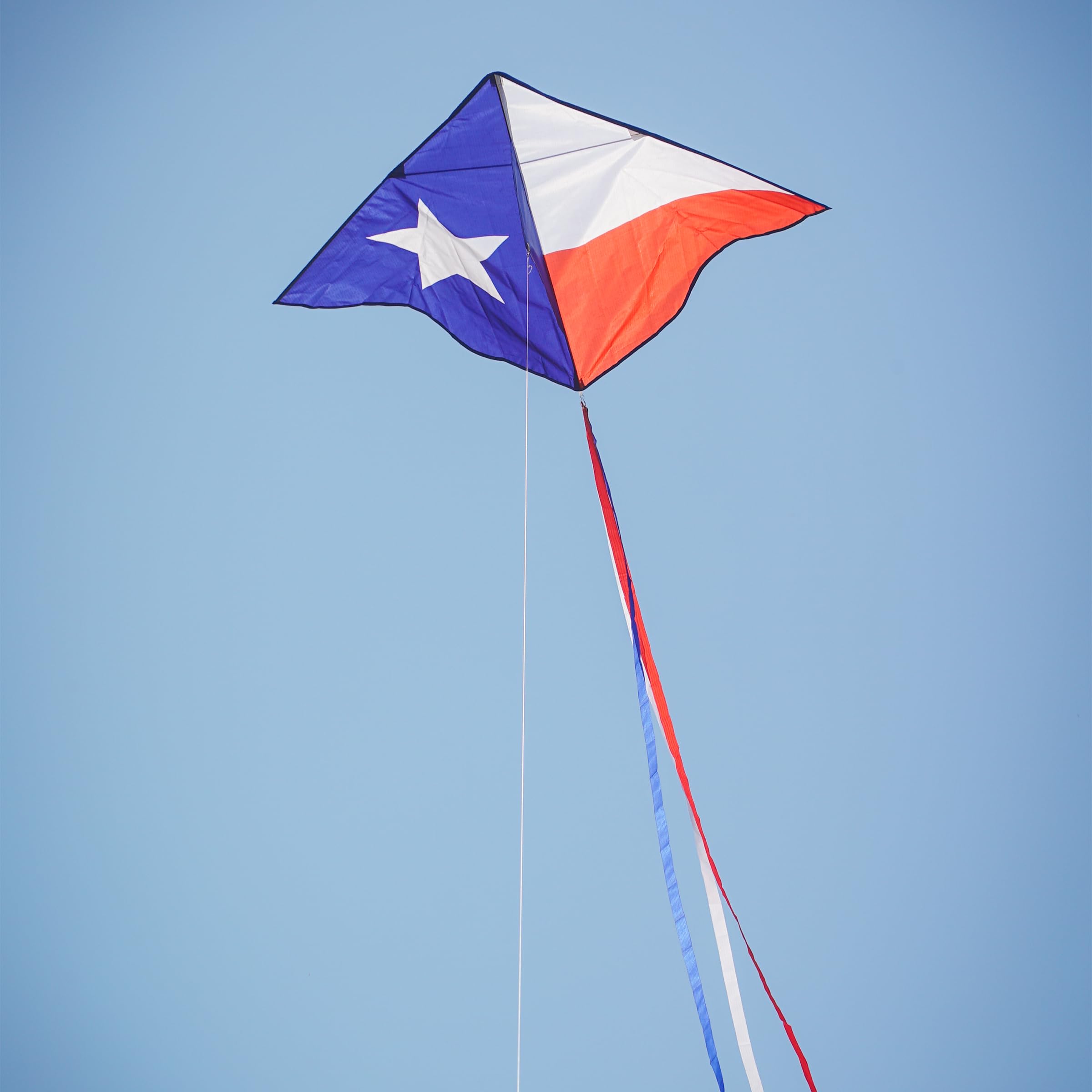 Amazon.com: In the Breeze 3392 — 46-inch Texas Delta Kite
