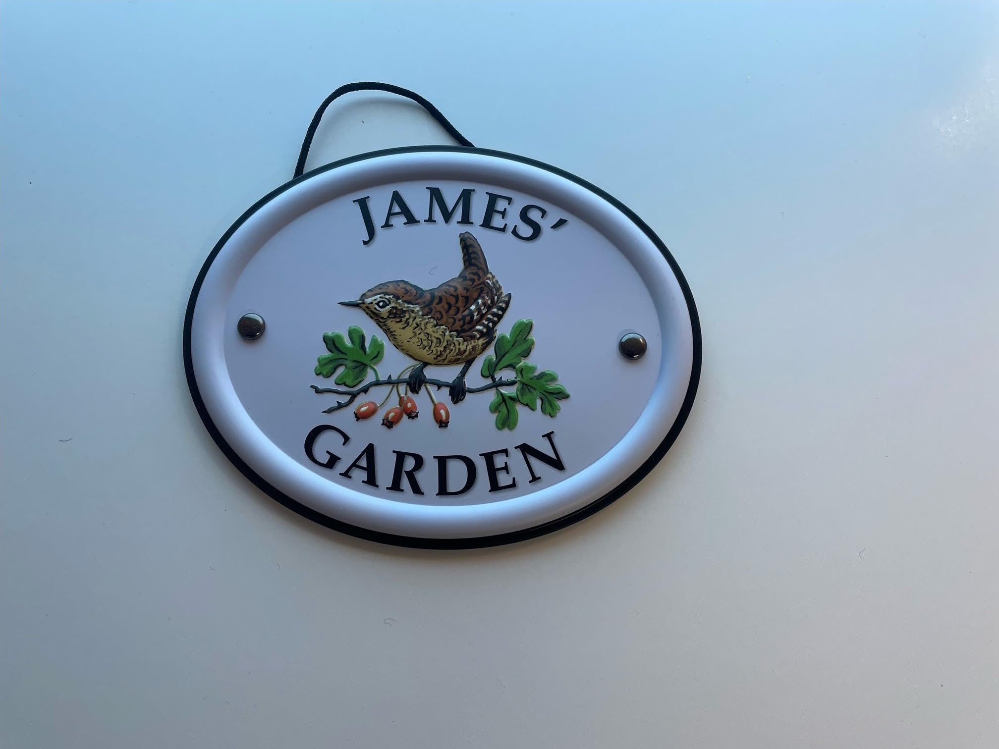 Personalised Embossed Metal Garden Sign 12x15cm – British Bird Design – Outdoor Decorative Hanging Garden Plaque – Weatherproof Metal Sign for Garden Walls Fences or Sheds (James) — image 1