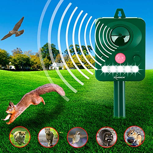 ZOVENCHI Solar Ultrasonic Animal Repeller Review Solar Panel America