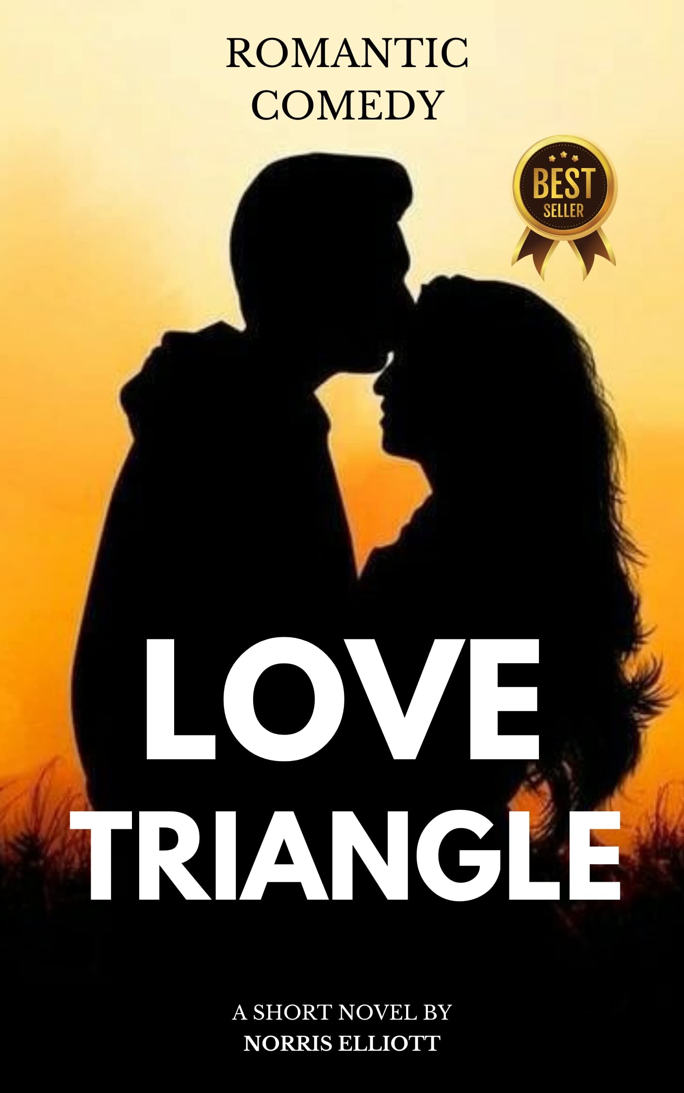 Love Triangle: The Perfect Plan. A Romantic Comedy.