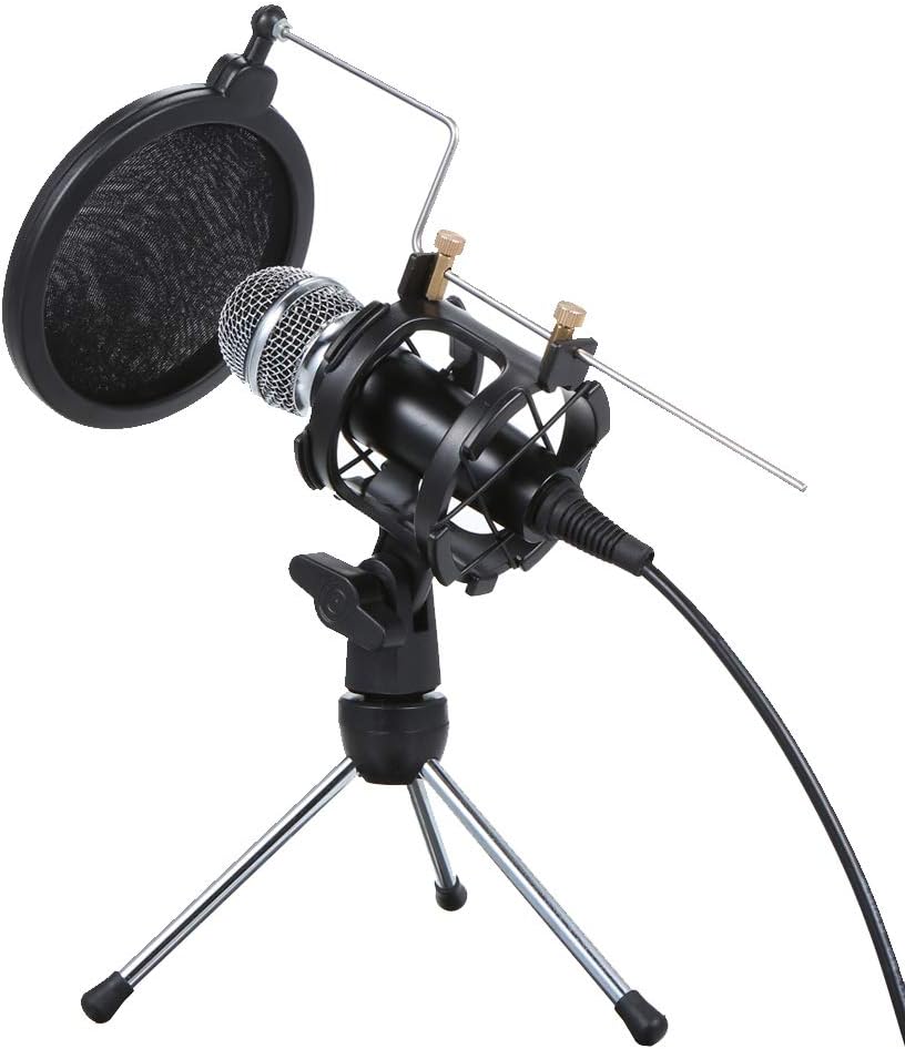 Festnight Professional Condenser Microphone Mini Portable Recording Microphone Set