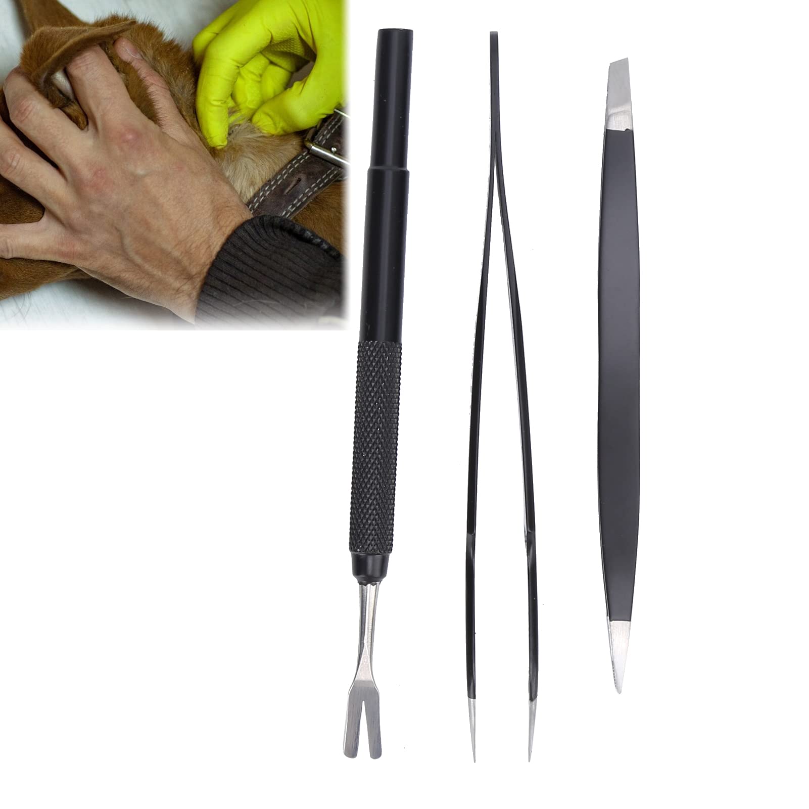 Gavigain 3 Piece Remover Kit, Stainless Steel, Ergonomic Design, Safe for Pets and Humans, Ideal for Dogs, Cats, Rabbits, and Professionals