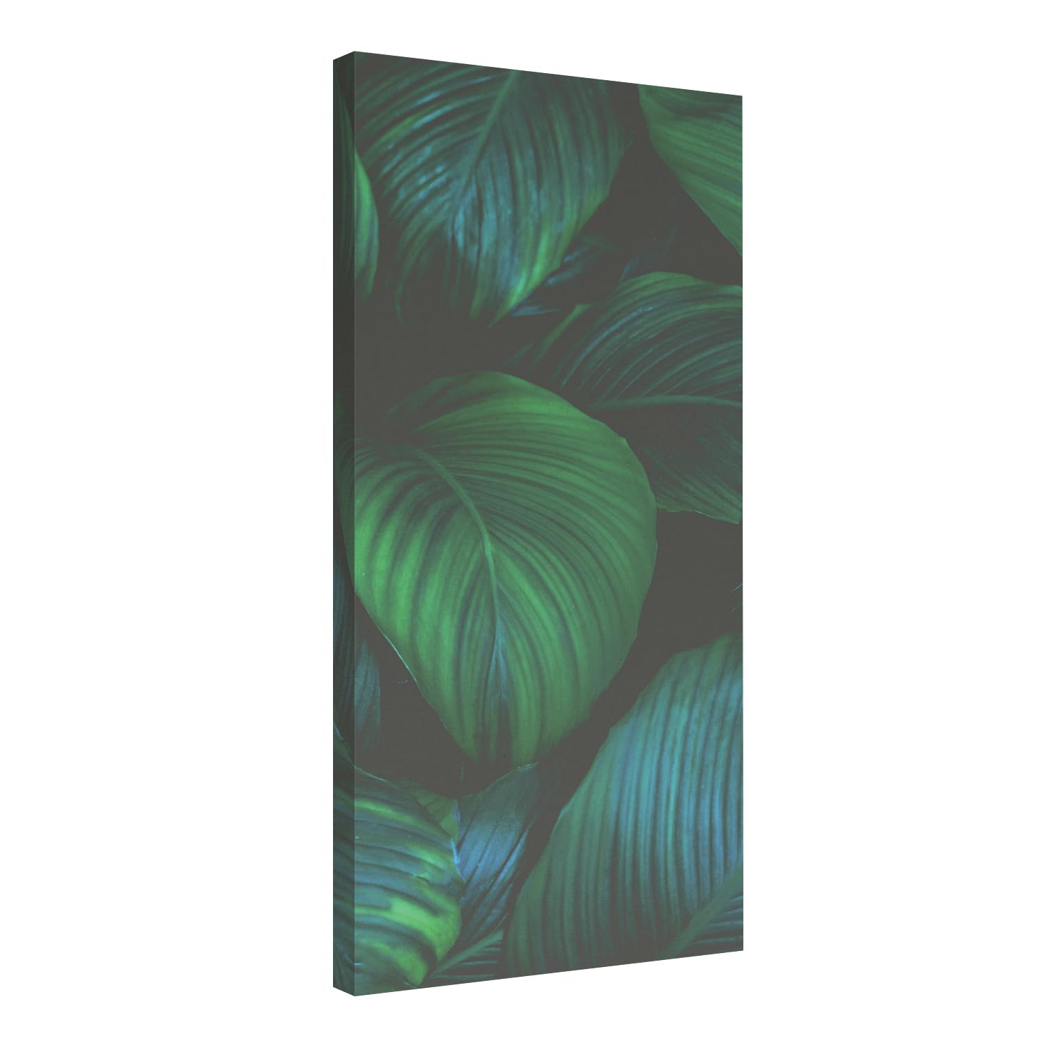Panneau Acoustique Mural Addictive Sound 100x50x6 Cm – Absorbeur Haut De Gamme Tissu 180g/m² Marron Clair