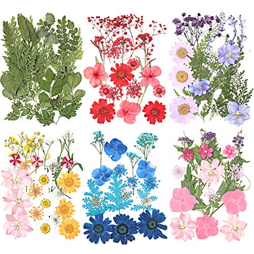 115 Pieces Real Dried Pressed Flowers Leaves Natural Dried Flowers Diy Pressed Flowers Mixed Flowers Colorful Daisy, Rose, Narcissus For Resin Jewellery Nail Pendant Crafts Making Supplies #TOP25