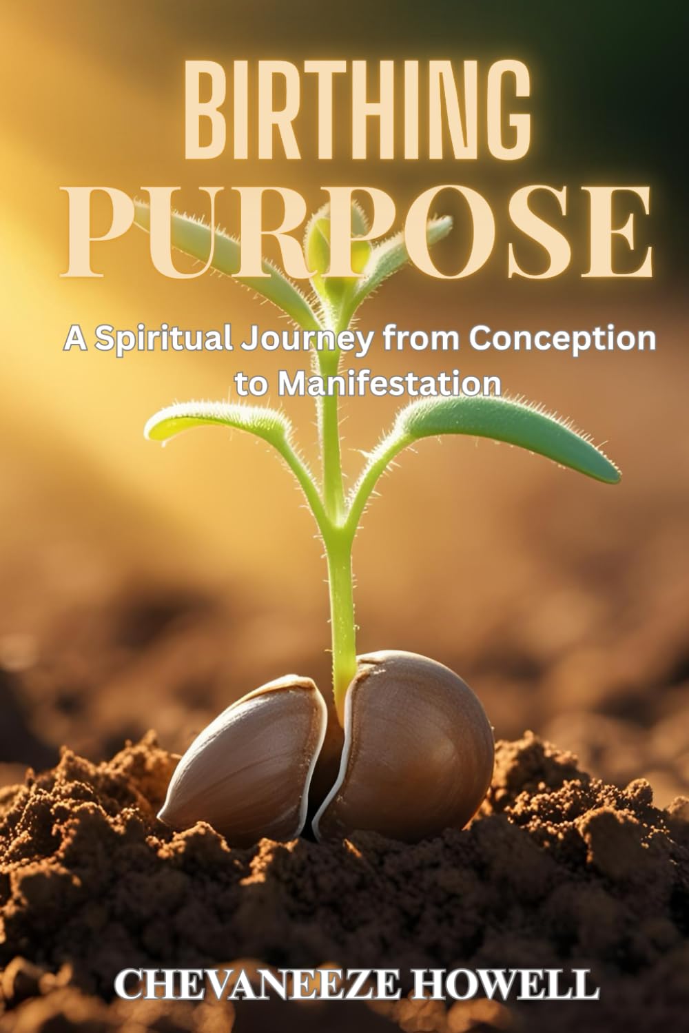 BIRTHING PURPOSE: A Spiritual Journey from Conception to Manifestation