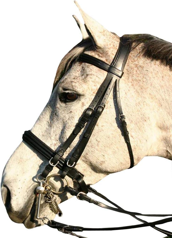 Saddlesworld Black Flat Padded Leather Bridle