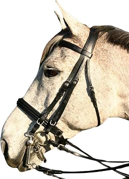 Saddlesworld Black Flat Padded Leather Bridle