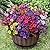 20 Bundles Artificial Flowers for Outdoor Fake Plants for Spring Decoration,Faux Eucalyptus Flowers for Planter UV Resistant Lifelike for Home Porch Garden?7 Color?