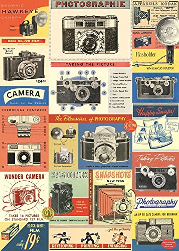 Cavallini & Co. Vintage Camera Decorative Decoupage Poster Wrapping Paper Sheet