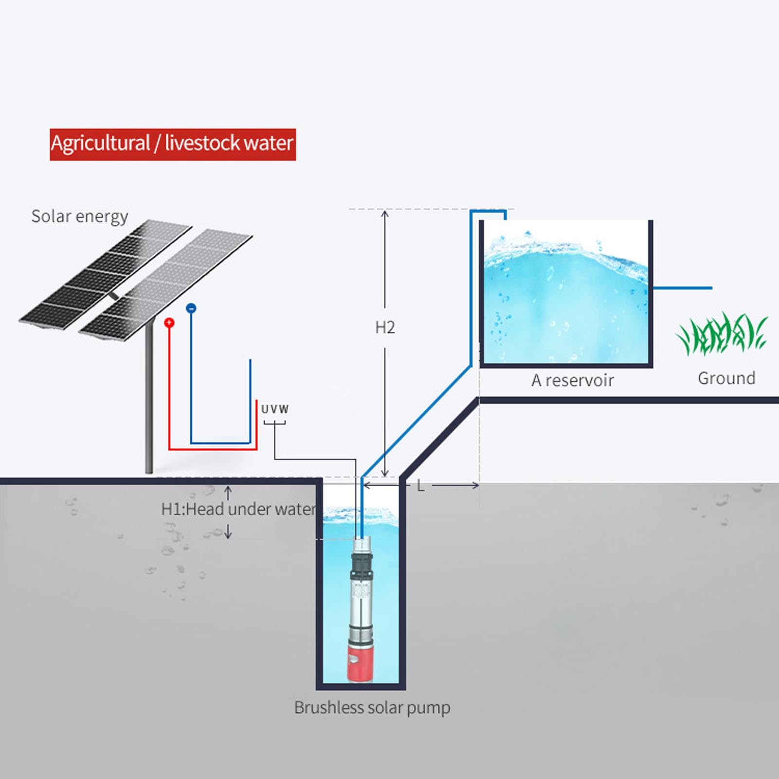 Eujgoov Pompa a Vite in Acciaio Inossidabile 220 W per Irrigazione Pompa Sommersibile Pozzo Profonda con Cavo di Alimentazione 10 Metri
